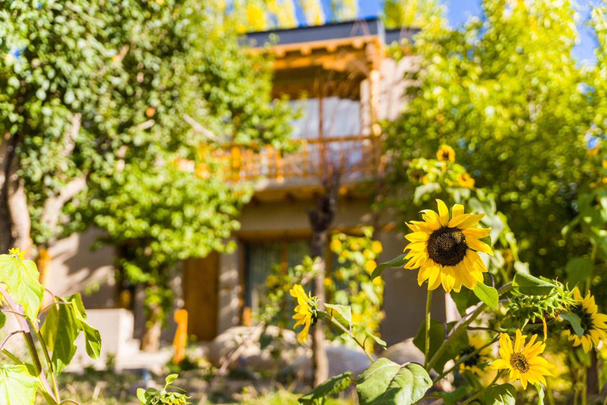 Dolkhar Resort Leh Exterior photo